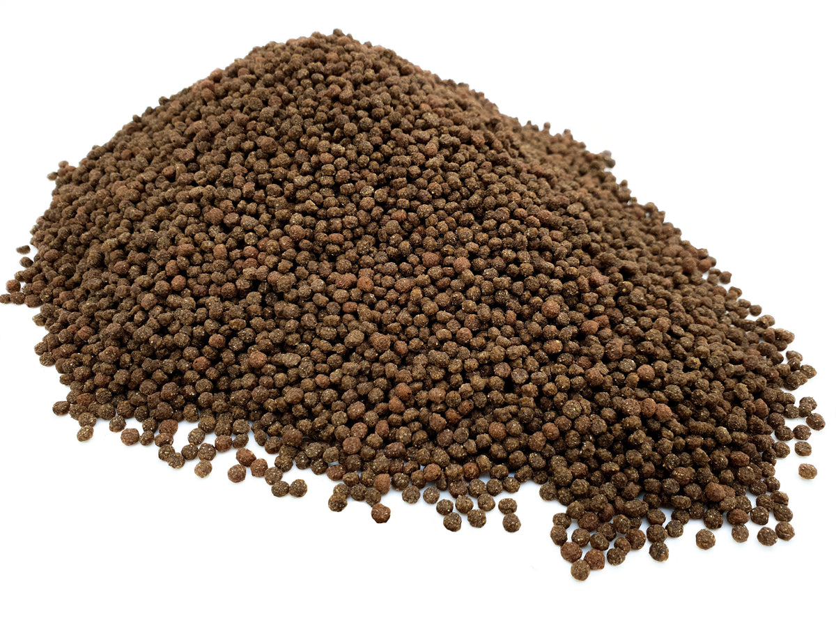 Cichlid Pellets 3mm Heron's Pet World